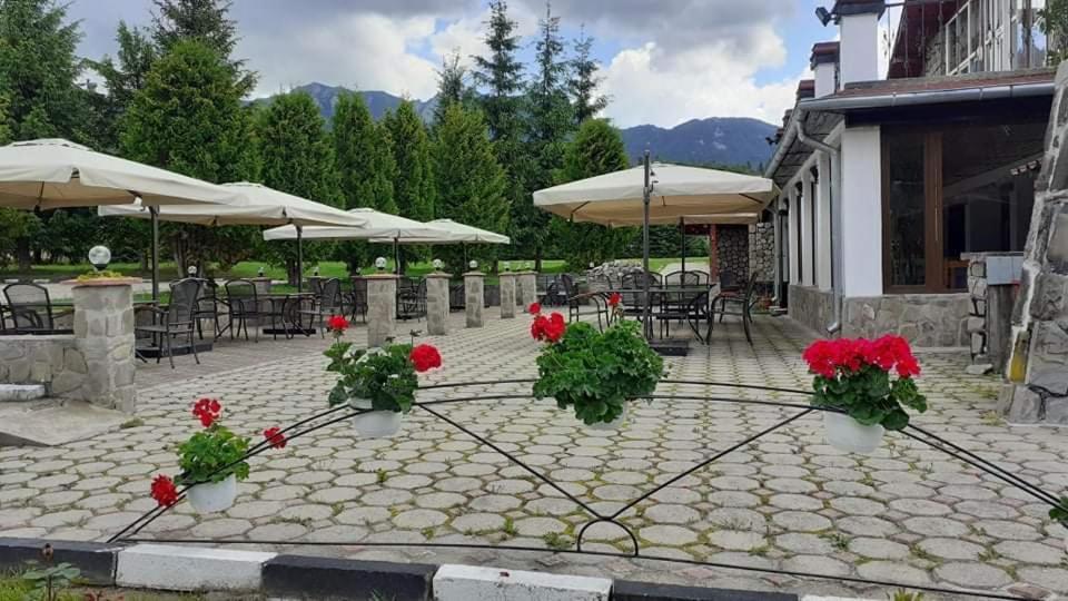 Hotel Cheia Cheia  Exterior foto